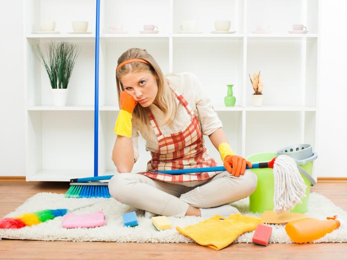 Is Domestic Cleaning a Luxury?